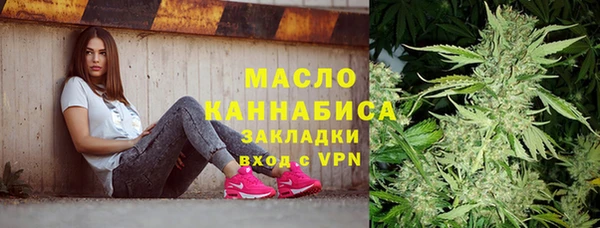 гидропоника Дмитриев