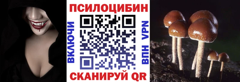 где продают Сельцо Галлюциногенные грибы Magic Shrooms